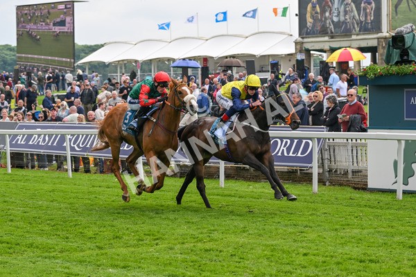 160524-Race 2-Point Lynas-5437 - Race 2 2.45pm Oakmere Homes Hambleton Handicap