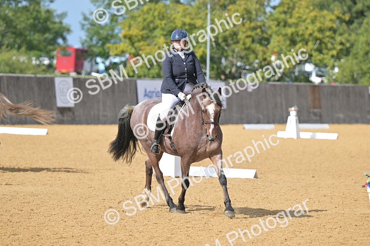 SBM_08656 - D8 - Small Tour Championship Prelim 1