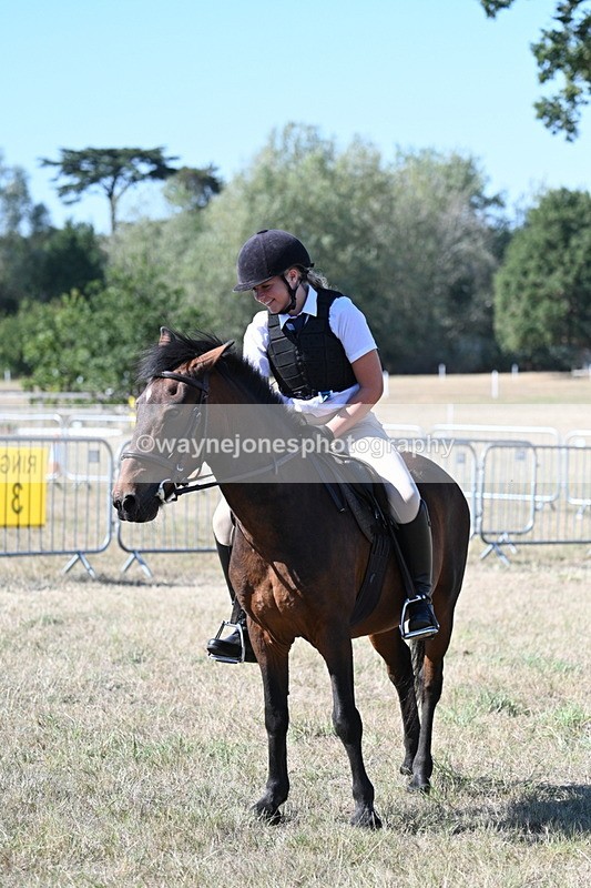 WJ7_1653 - Class 42 Most Handsome Gelding