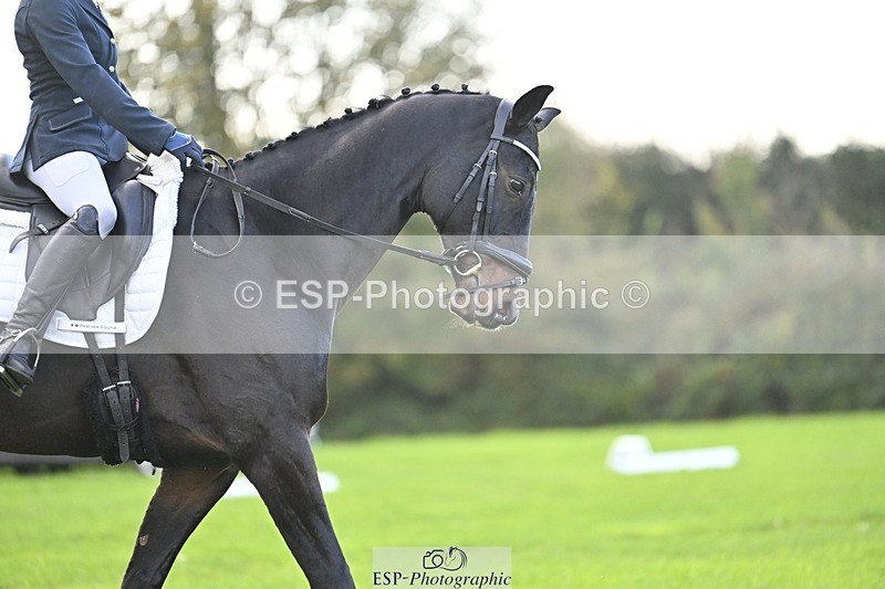 241025-094313-05610 - 353-Cheryl.Beer-LANGALLER.ALPHA.BRAVO