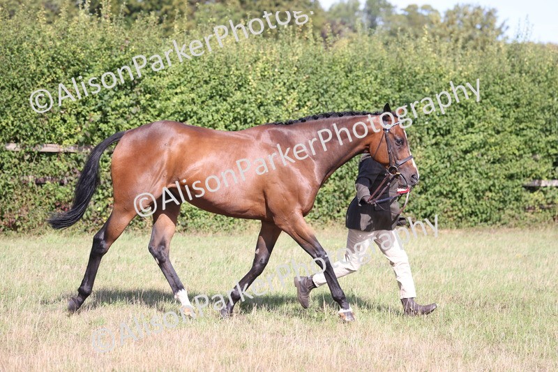 20260906-0736 - Class 22 - Ex Racehorse