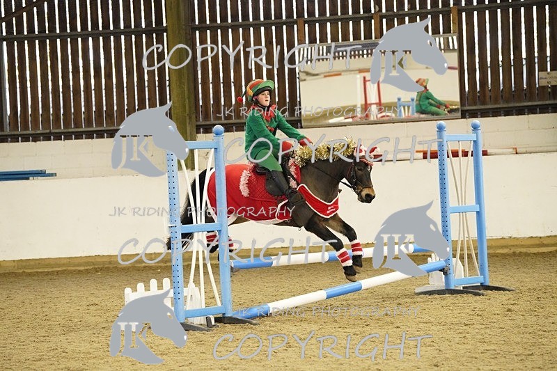 _DSC3296 - 50cm/60cm Pairs