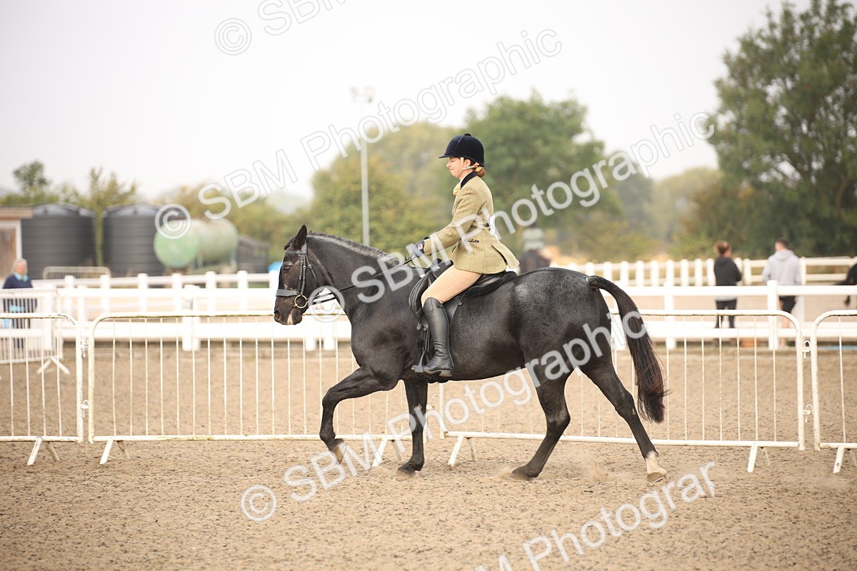 SBM_09706 - Class 401 Riding Club Pony