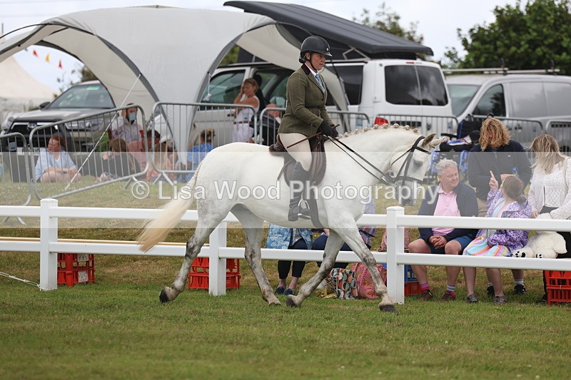 3E7A1374 - Class 9: Open Hunter