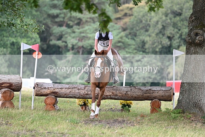 WJ6_0858 - XC Time 12:36 to 12:57