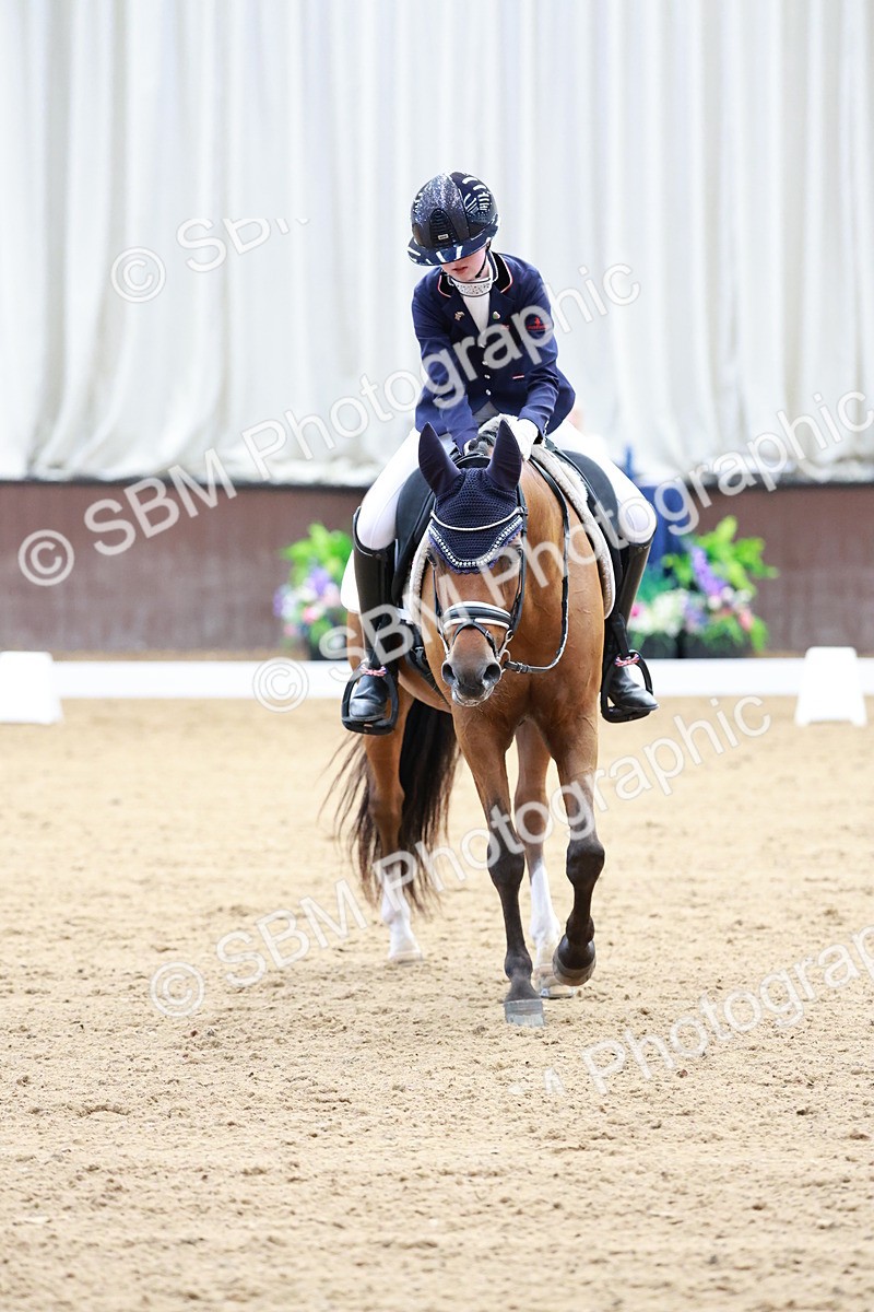 SBM_017289 - Class15 - FEI Pony