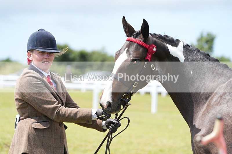 DSC06790 - Class 59: Coloured Horse Youngstock