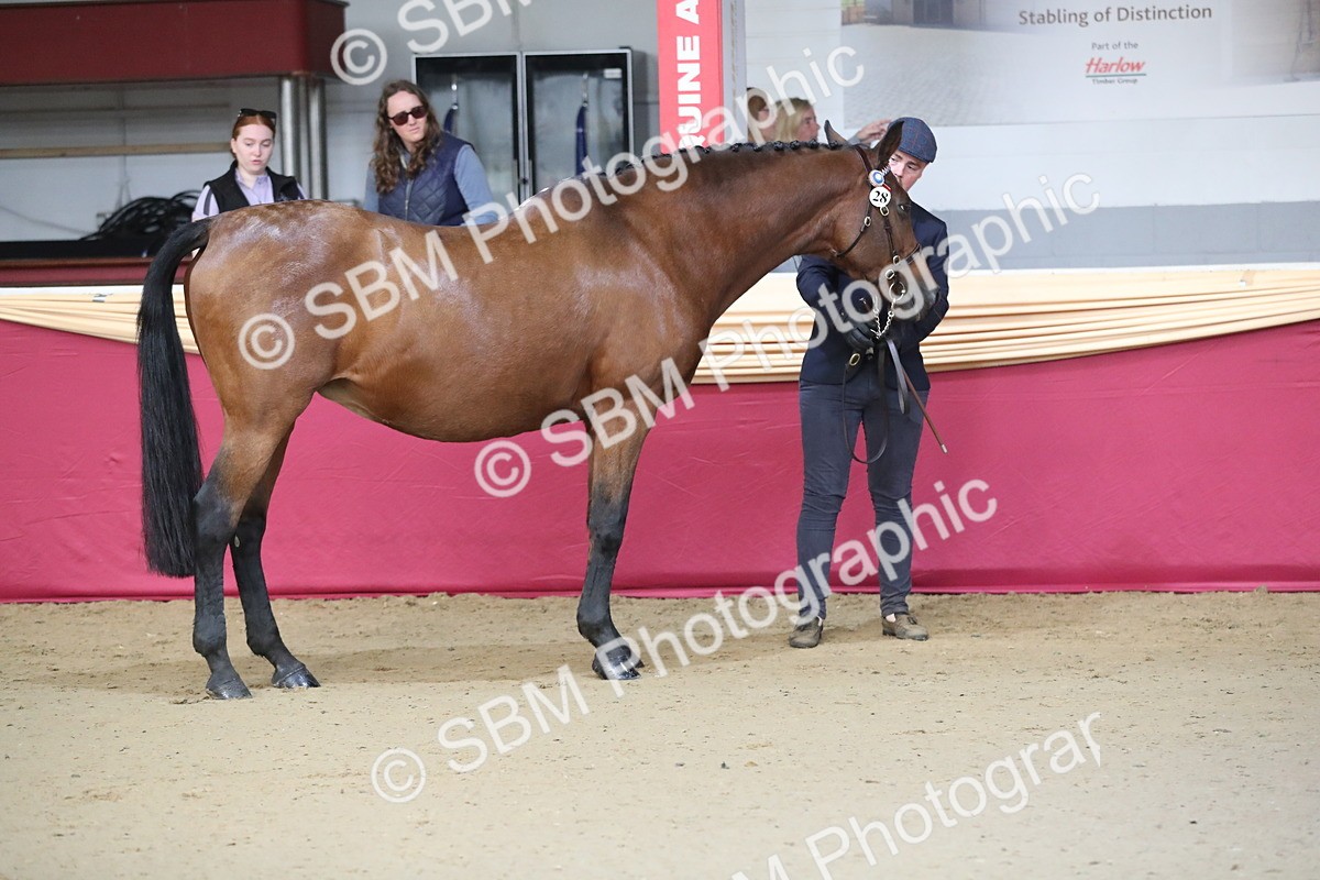 SBM_00242 - Class 1a - Area IH Diamond