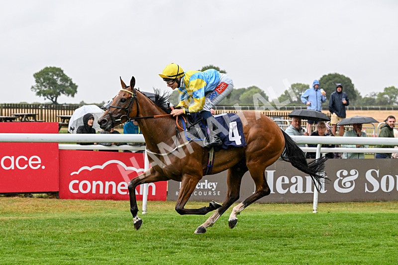 150725-Race 4-Without Flaw-0576 - Race 4