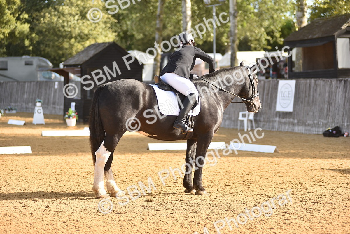 SBM_15792 - D4 - Small Tour Championship Intro 4