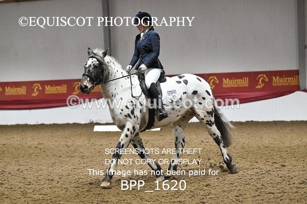BPP_1620 - PC GRASSROOTS DRESSAGE