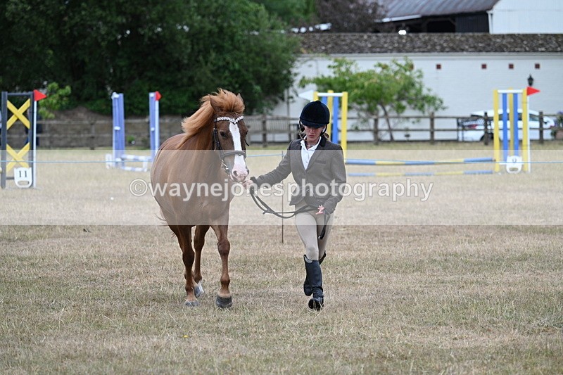 WJ7_8188 - Class 4 Prettiest Mare up to 14.2hh