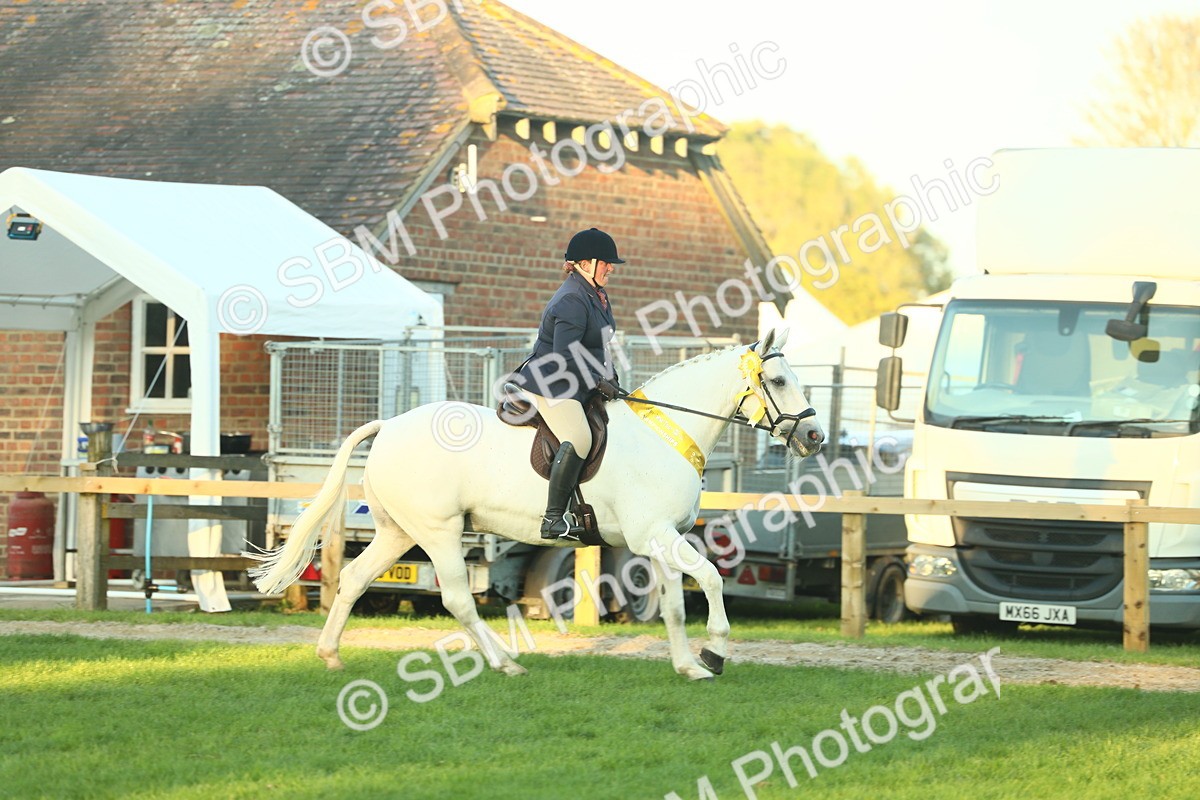 SBM_56590 - S14 - Riding Club Horse