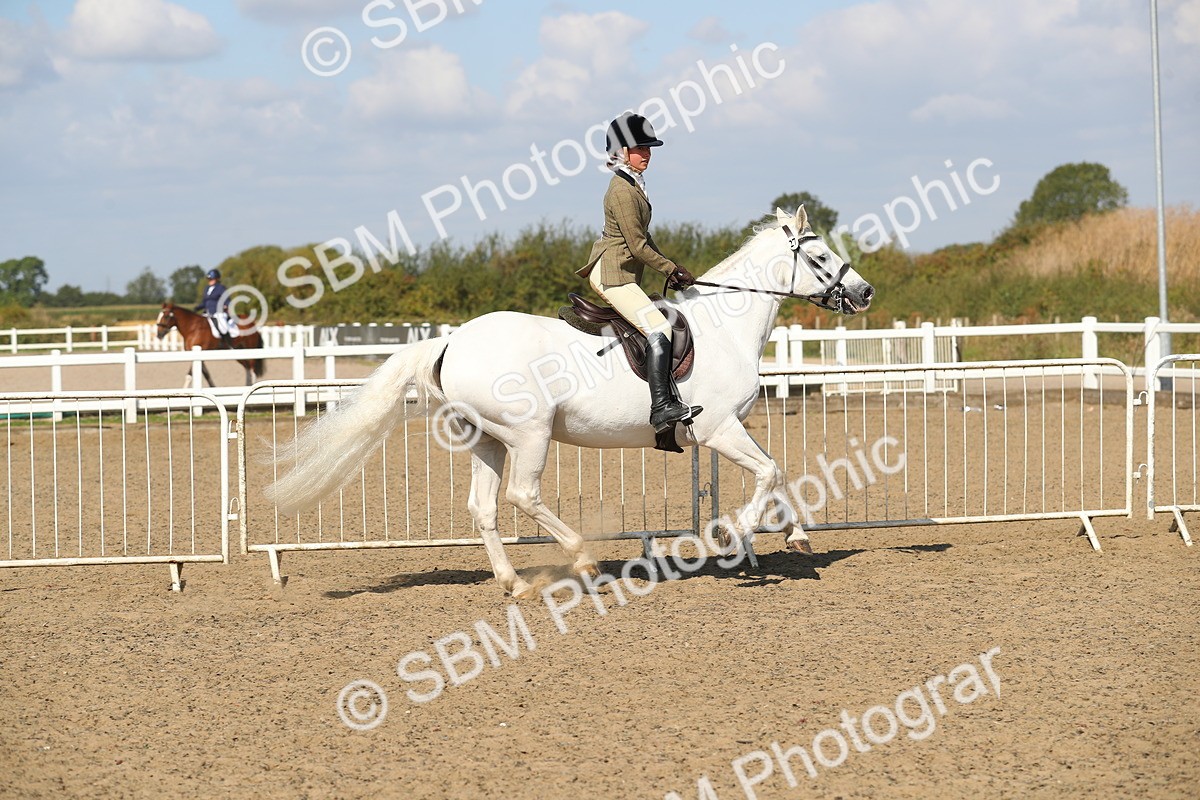SBM_03149 - Class 44 Riding Club Horse/ Pony