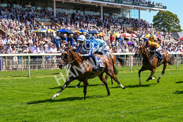 110725-Race 2-Sayidah Dariyan-4116 - Race 2 2.45pm William Hill Summer Stakes