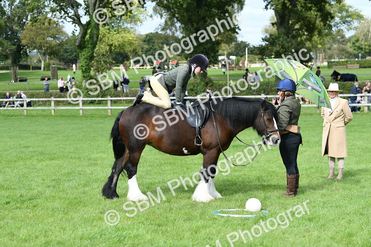 SBM_46928 - S12 - Family Horse & Pony