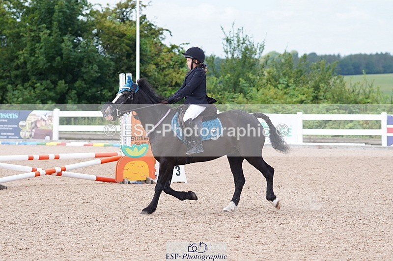 240809A-114706-00818 - Showjumping Competition