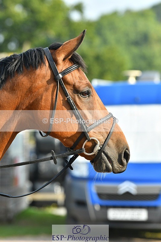 230817-083710-02436 - Stable Shots