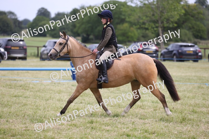 20260614-2971 - Class 22 - Open Working Hunter