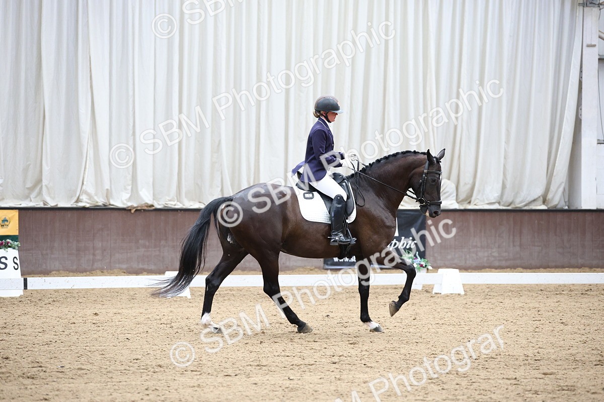 SBM_003491 - Class 5 - Novice 6 Gold - 13.05-14.00