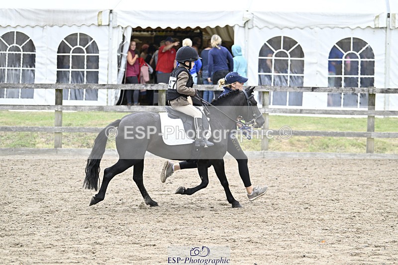 240822X-140337-08738 - 40cm LR R2 13.00 to 15.00