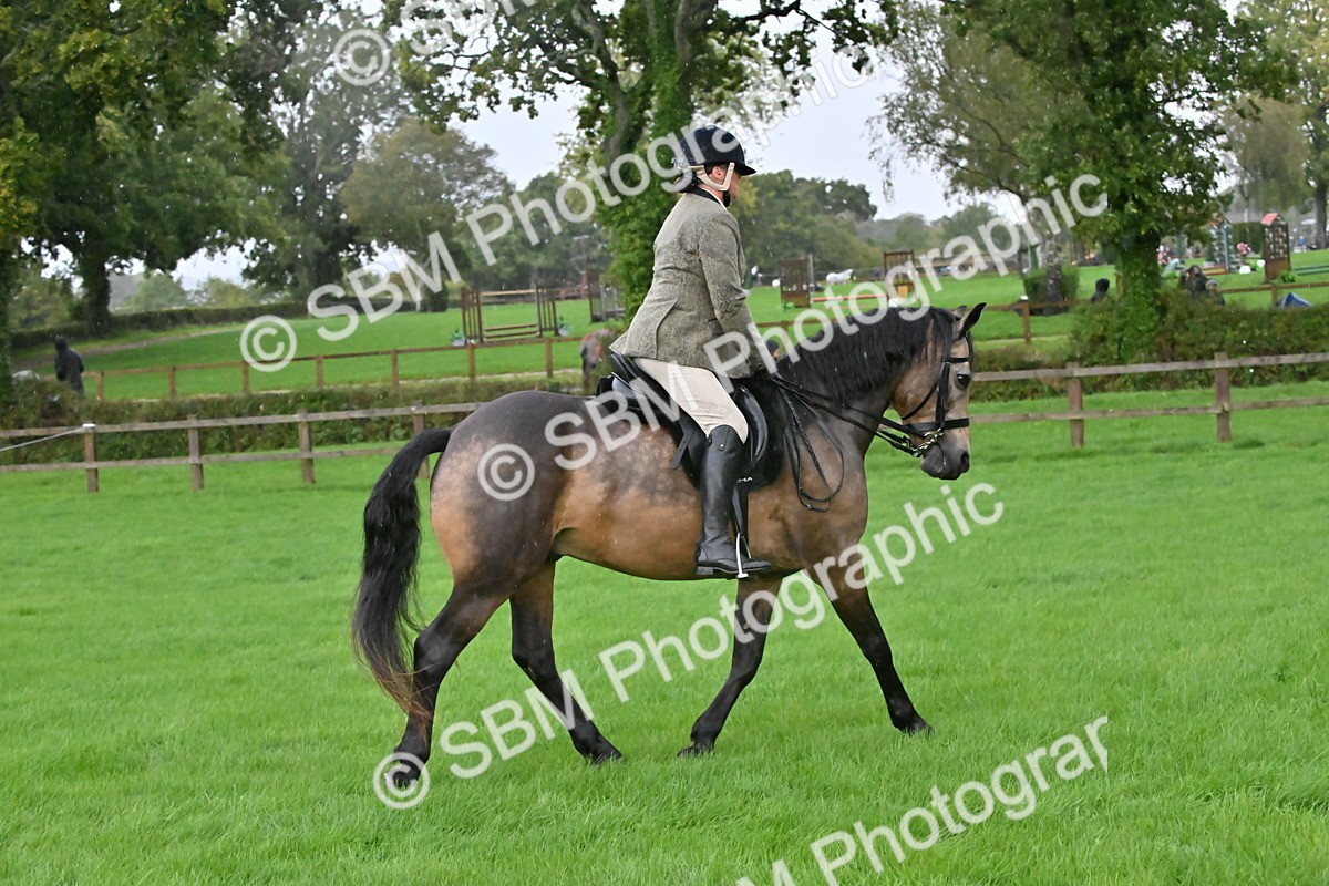 SBM_35696 - S16 - Top Turnout - Ridden