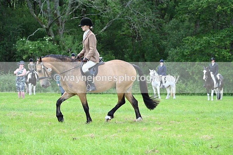 WJ7_2536 - Class 12A Coloured Class