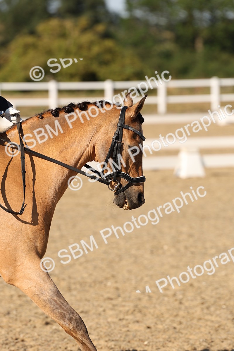 SBM_007018
