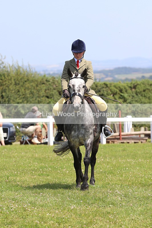 JPP_2457 - Class 21: Working Hunter 60cm