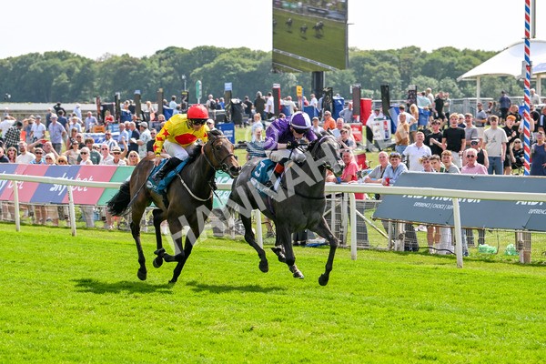 130625-Race 4-India Love-9241 - Race 4 3.35pm Juddmonte EBF Fillies' Restricted Novice Stakes