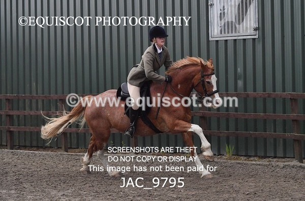 JAC_9795 - CLASS 2 Novice Working Hunter (0.60m - 0.70m)