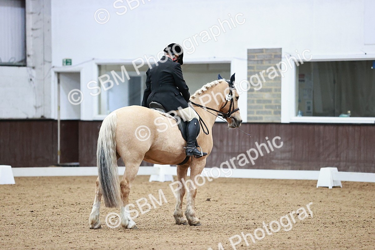 SBM_000338 - Class 5-8-14 - Prem-Nov-Tango - FSM