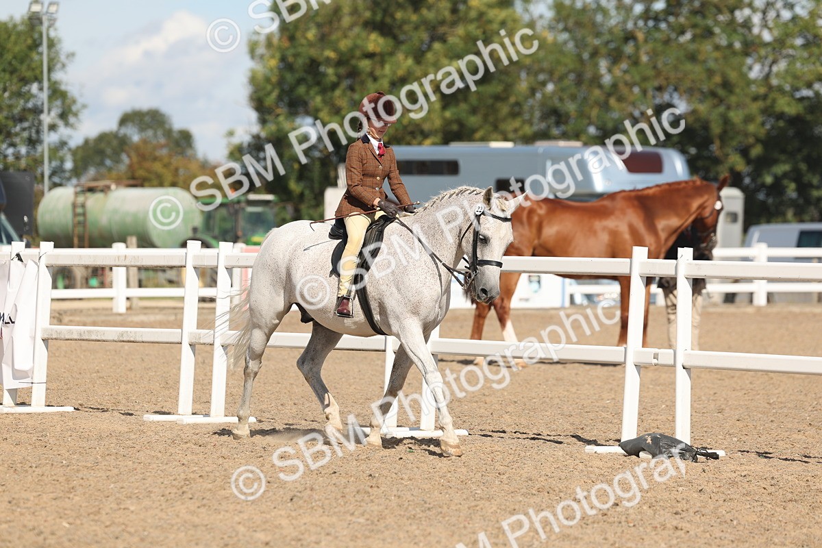 SBM_13167 - Class 306 - Ridden Foreign Breds - Part Bred