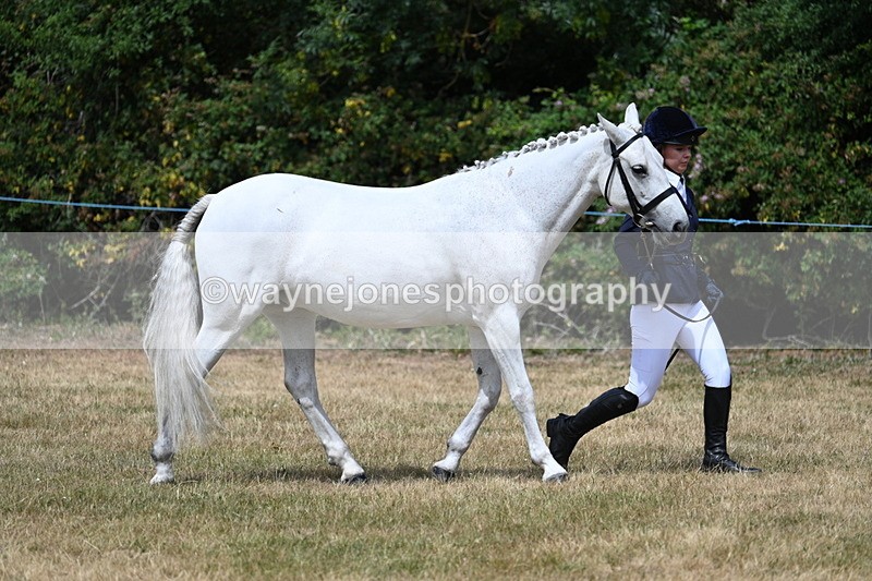 WJ7_1626 - Class 4 Prettiest Mare up to 14.2hh in hand