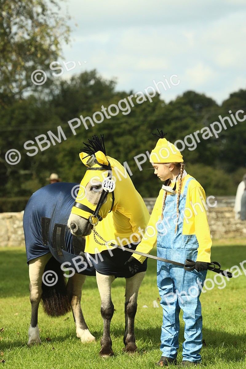SBM_63625 - S35 - Fancy Dress Showing