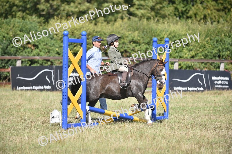 20260906-0997 - Class 7 - Absolute Novice Jumping 35cm