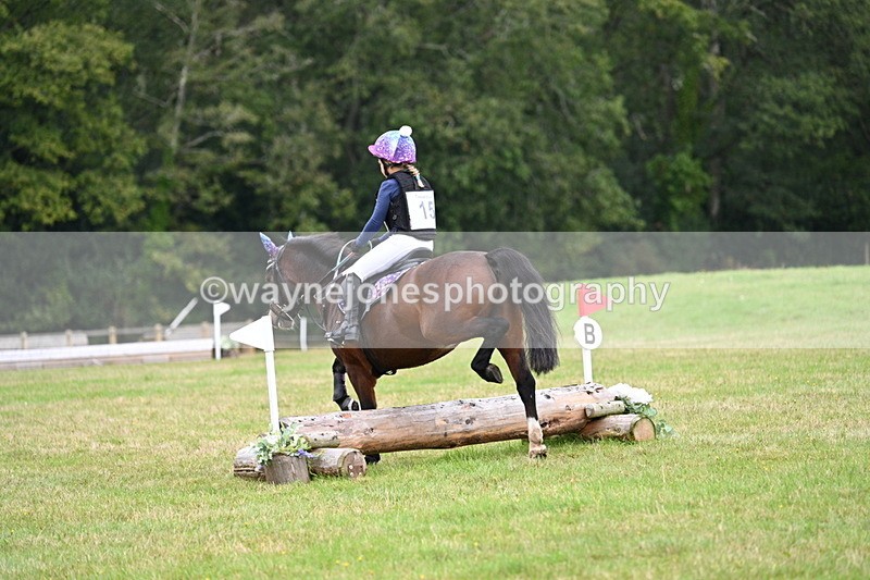 WJ7_7371 - 40cm Time 10:06 to 10:24