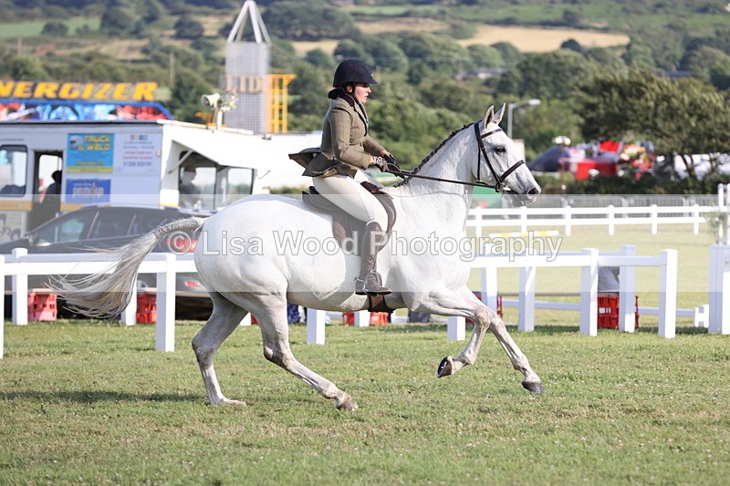 JPP_3496 - Class 22: Working Hunter 90cm