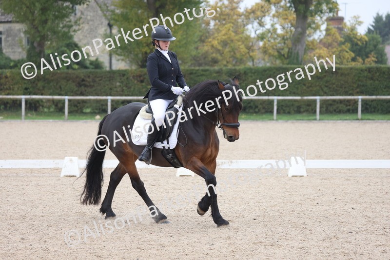 20251012-0526 - Class 4 - Novice 6