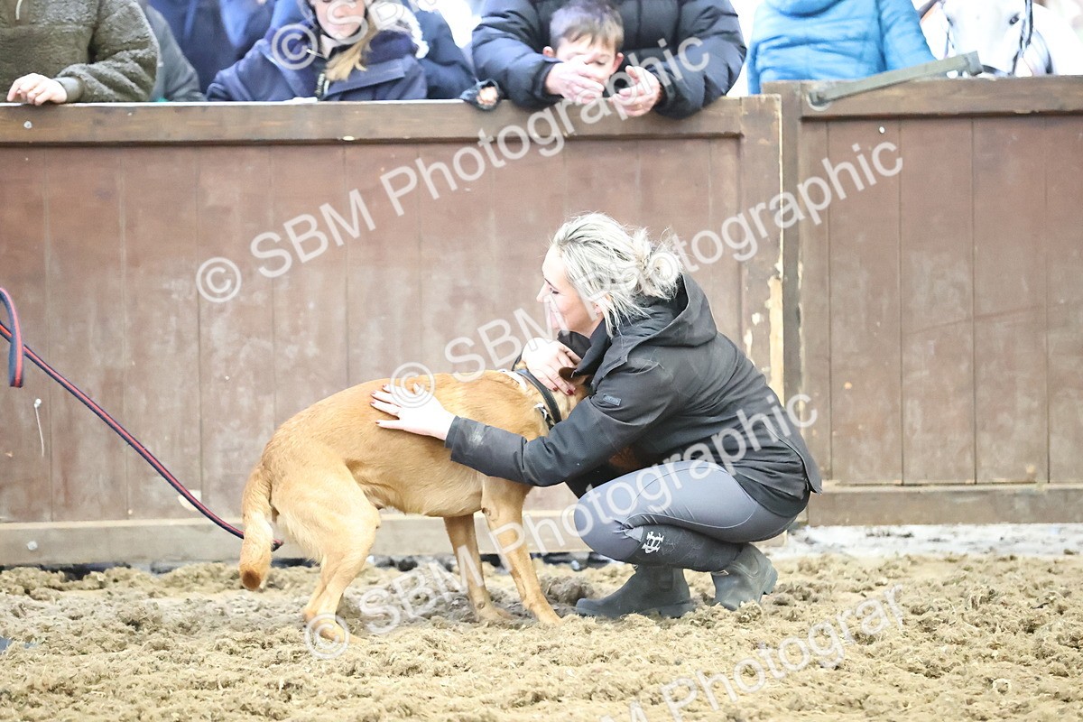 SBM_001377 - Class 3 - Horse & Hound 60cm