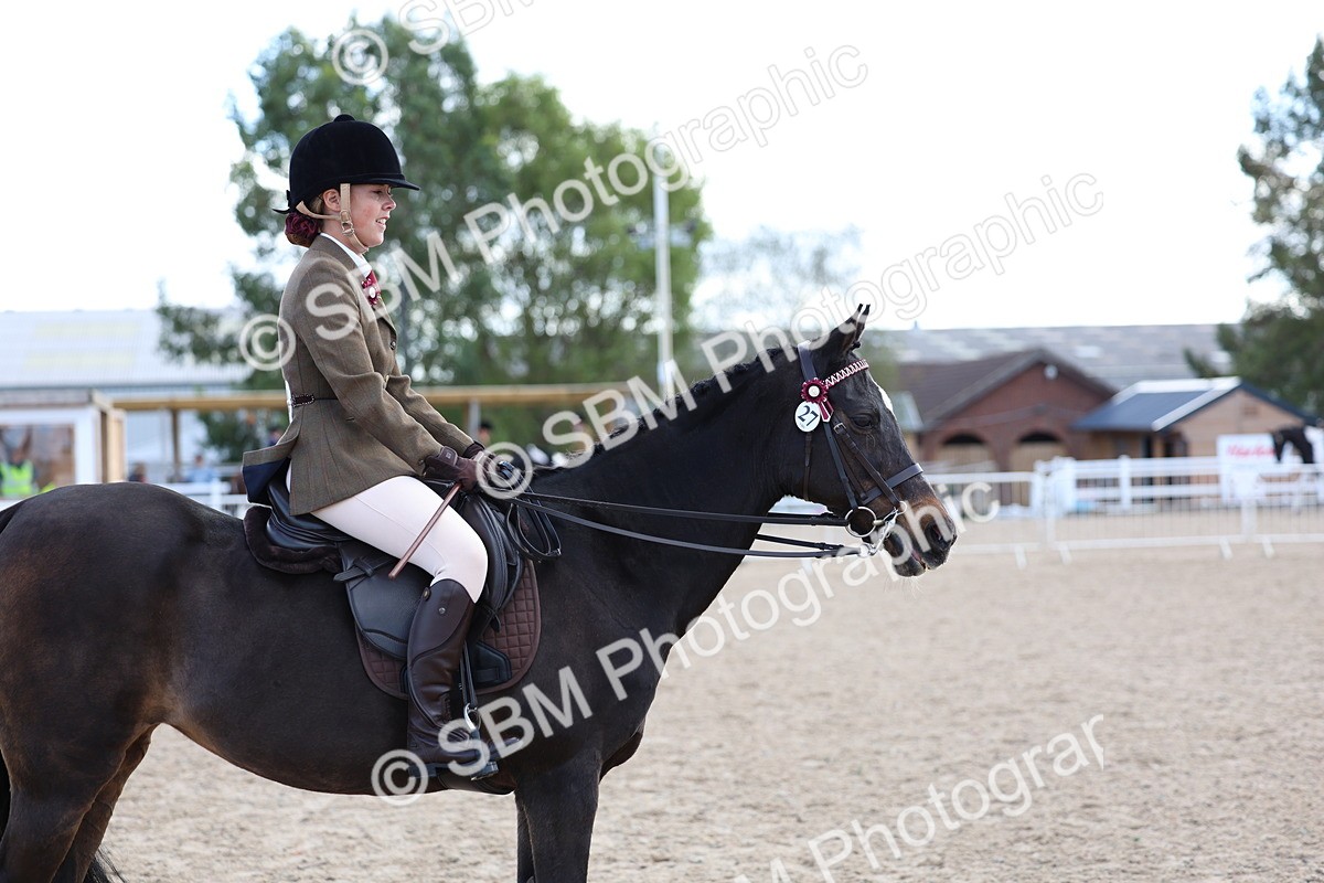 SBM_11224 - Class 306 - Ridden Foreign Breeds - Part Bred
