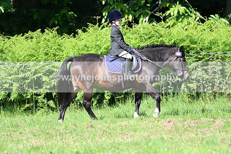 WJ7_0686 - Class 8 First Rally Pony