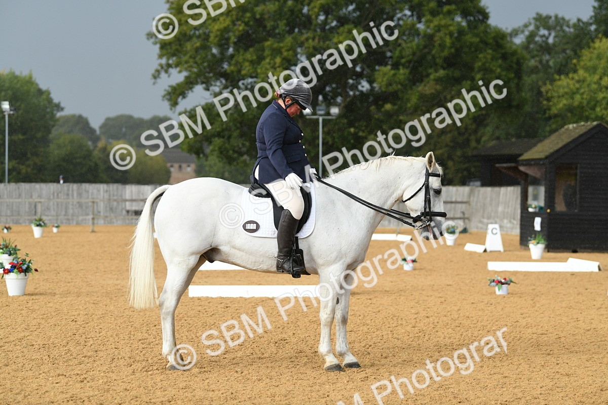 SBM_11142 - D28 Elementary Taster Elementary 42