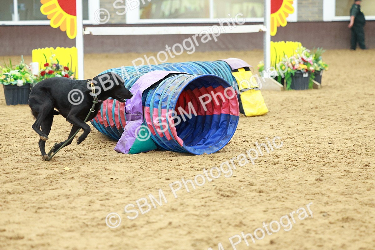 SBM_002567 - Class 3 - Horse & Hound (60cm)