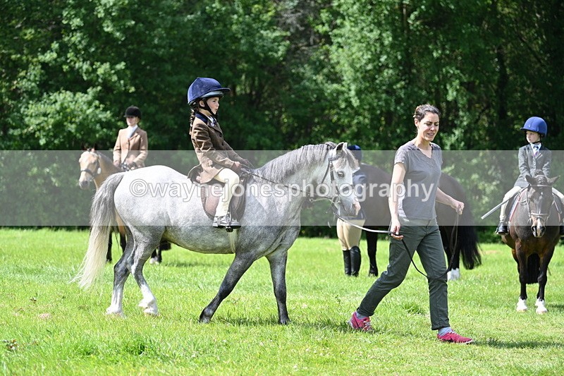 WJ7_1503 - Class 11 Condition & Turnout