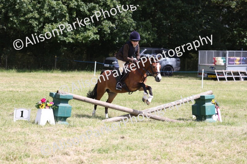 20260614-1743 - Class 21 - Novice Working Hunter Pony