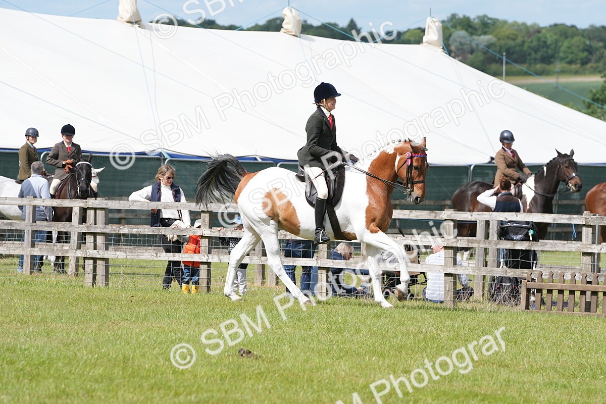 SBM_17571 - Class 107-108 - LIHS BSPS Performance Coloured Horse Pony