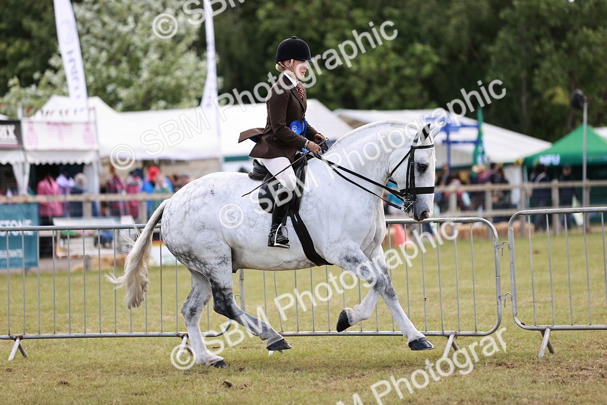 SBM_14125 - Class 85-87 - RIHS Cobs