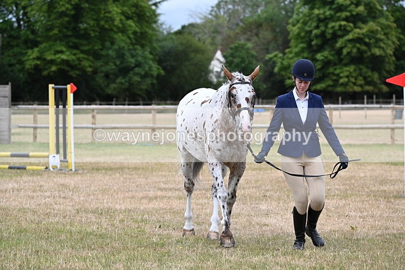WJ6_4299 - Class 10 Coloured In-hand