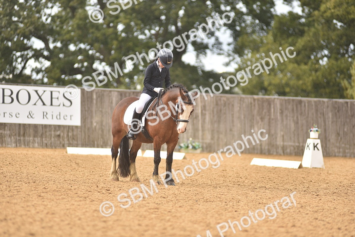 SBM_42526 - D22 - Junior Championship Intro 3